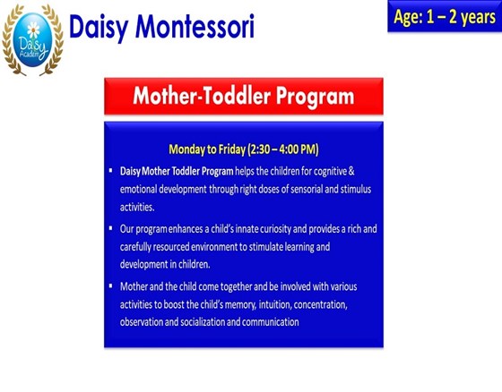 Daisy Montessori School: Daisy Montessori School